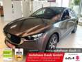 Mazda CX-30 CX30 2.0 SKYACTIV-X M HYBRID SELECTION AUTOMATIK Gris - thumbnail 1