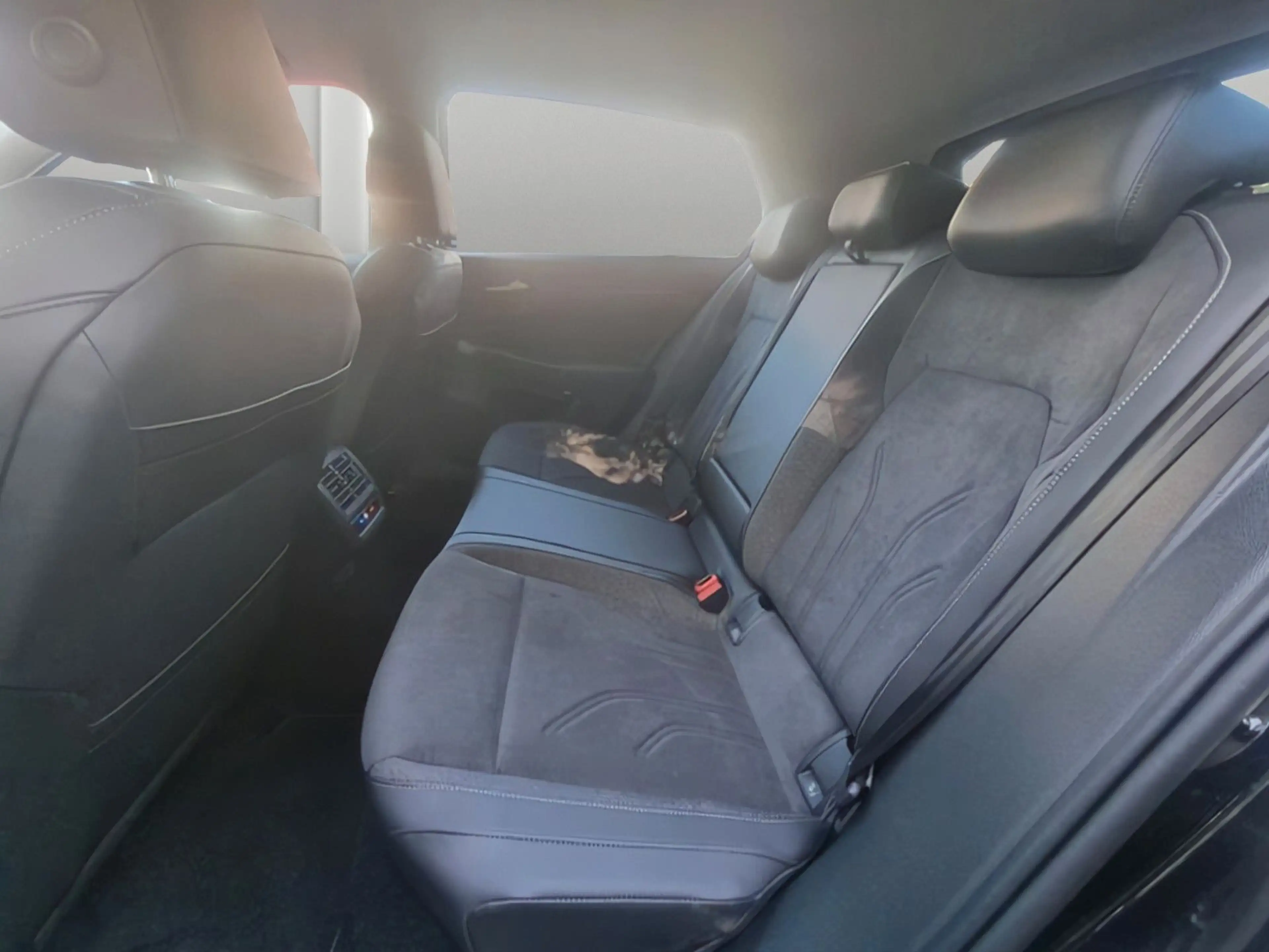 Volkswagen Golf VIII 2.0TDI Style T.Leder Massage Standheiz — photo 10