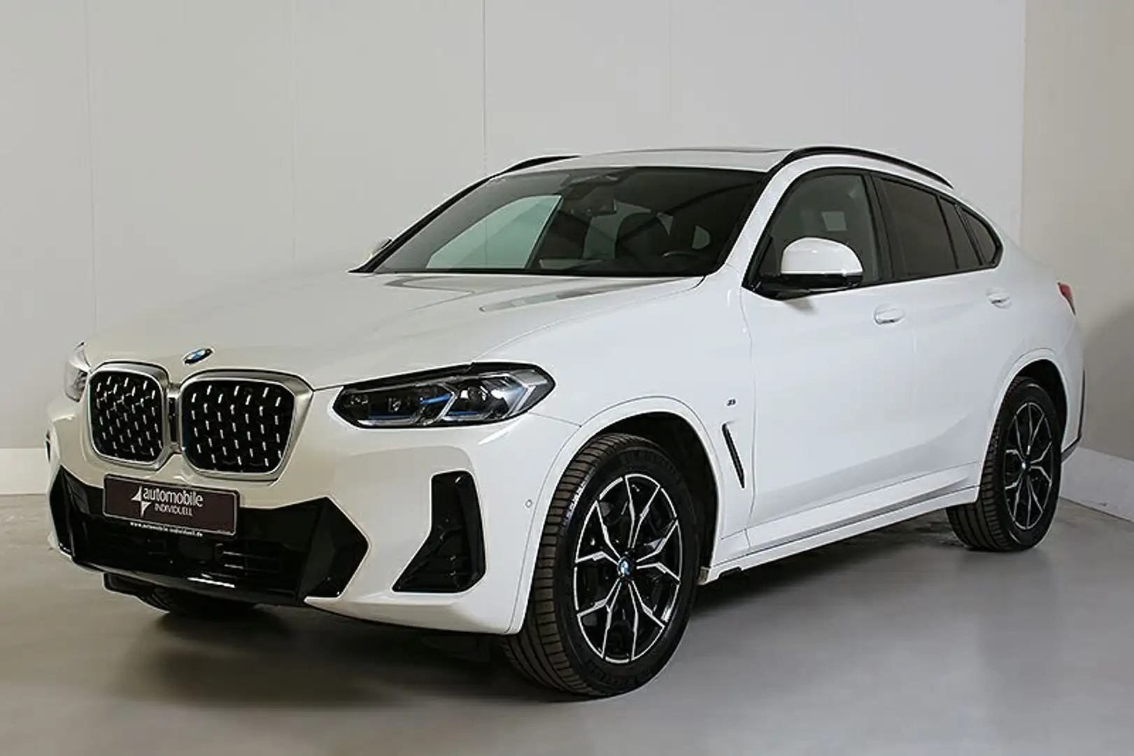 BMW X4 xDr 30dA M Sport ACC Laser LiveCockpit Panora Wit - 2