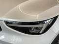 Volvo XC40 2.0 B3 G Plus Dark Auto Blanco - thumbnail 13