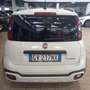 Fiat Panda Cross 1.0 FireFly S&S Hybrid Blanc - thumbnail 3