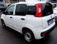 Fiat Panda Panda 1.3 mjt 16v Easy s VAN Bianco - thumbnail 6