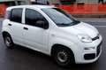 Fiat Panda Panda 1.3 mjt 16v Easy s VAN Bianco - thumbnail 3
