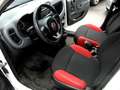 Fiat Panda Panda 1.3 mjt 16v Easy s VAN Bianco - thumbnail 8