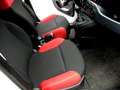 Fiat Panda Panda 1.3 mjt 16v Easy s VAN Bianco - thumbnail 9