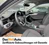 Audi A4 35 TDI Grau - thumbnail 8