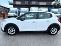 Citroen C3 1.5Hdi 100cv AUTOCARRO 2 POSTI ANNO 2022 Blanco - thumbnail 6