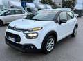 Citroen C3 1.5Hdi 100cv AUTOCARRO 2 POSTI ANNO 2022 Blanco - thumbnail 7
