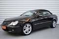 Mercedes-Benz CLK 200 CLK200 Avantgarde+Bi-Xenon+Navi+SHZ+39.500KM+PDC Nero - thumbnail 3