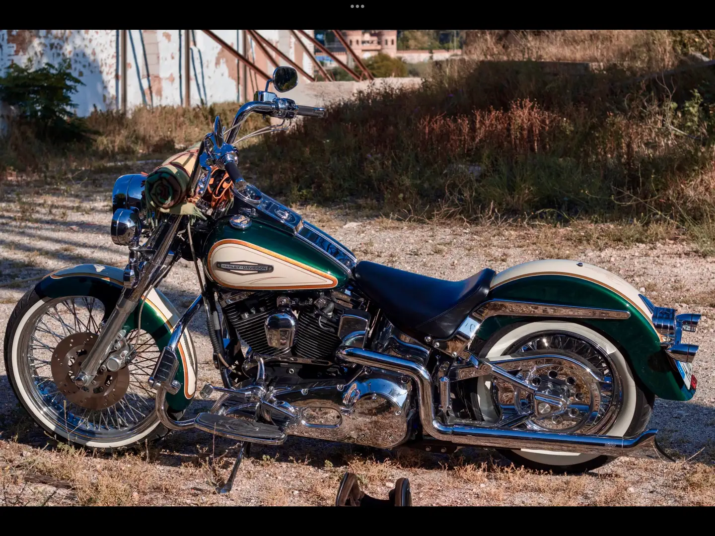 Harley-Davidson Heritage Softail - 1