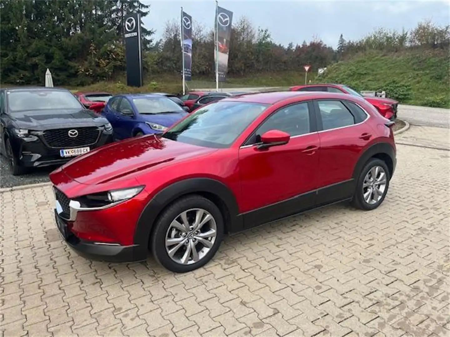 Mazda CX-30 G122 Comfort+ Winterräder, AHK Rot - 1