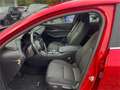 Mazda CX-30 G122 Comfort+ Winterräder, AHK Rot - thumbnail 5