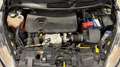 Ford Fiesta 5 Porte 1.5 TDCi 75cv Business E6 - thumbnail 15