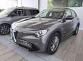 Alfa Romeo Stelvio - Stelvio 2.2 Turbodiesel 190 CV AT8 RWD Business Grigio - thumbnail 2