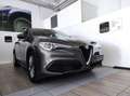 Alfa Romeo Stelvio - Stelvio 2.2 Turbodiesel 190 CV AT8 RWD Business Grigio - thumbnail 1