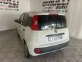 Fiat Panda 1.2 GPL Pop Van 2 posti Weiß - thumbnail 4