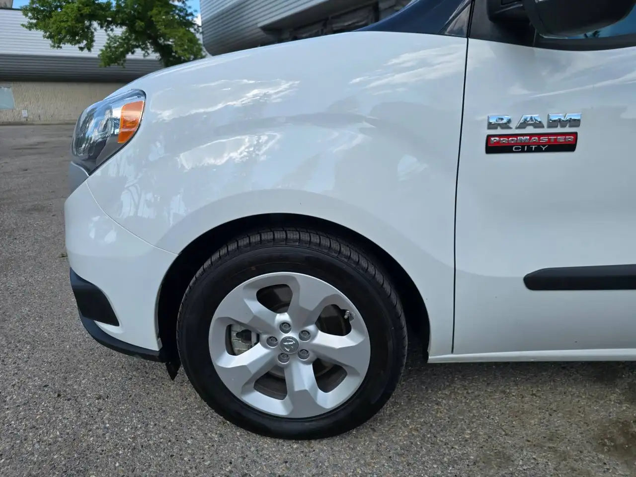RAM Promaster снимка RAM Promaster