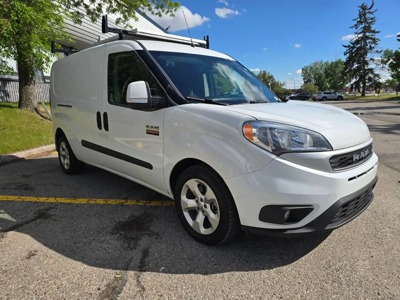 RAM Promaster снимка RAM Promaster