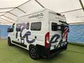 Weinsberg CaraTour 540 Blanc - thumbnail 11