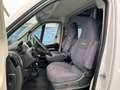 Weinsberg CaraTour 540 Blanc - thumbnail 16