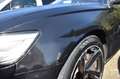 Audi A6 3.0 TDI Quattro. ProL. PLUS, Xenon, Leder, AUT Schwarz - thumbnail 21