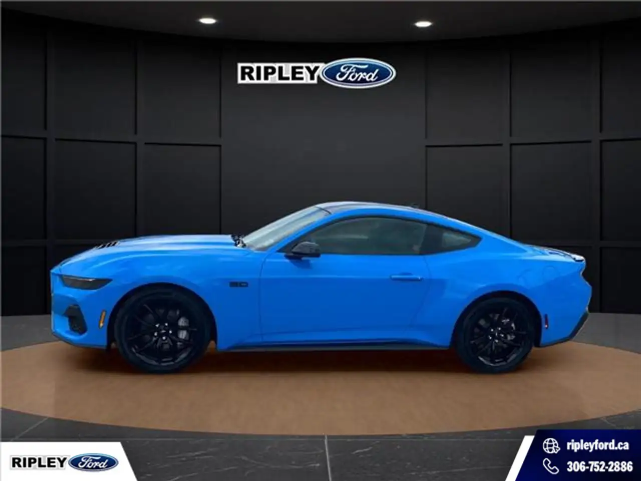 Ford Mustang photo Ford Mustang
