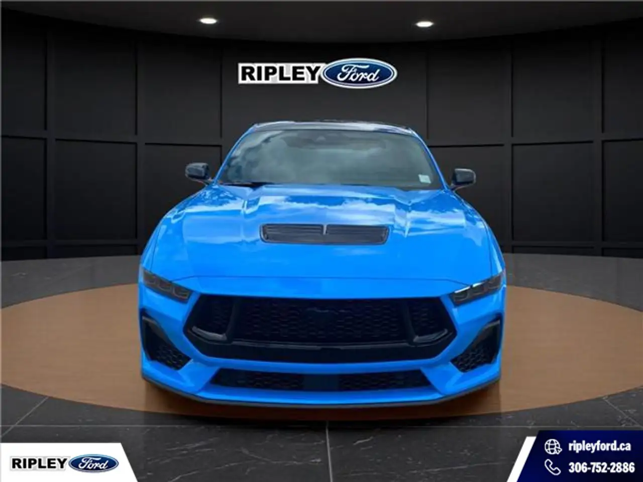 Ford Mustang photo Ford Mustang