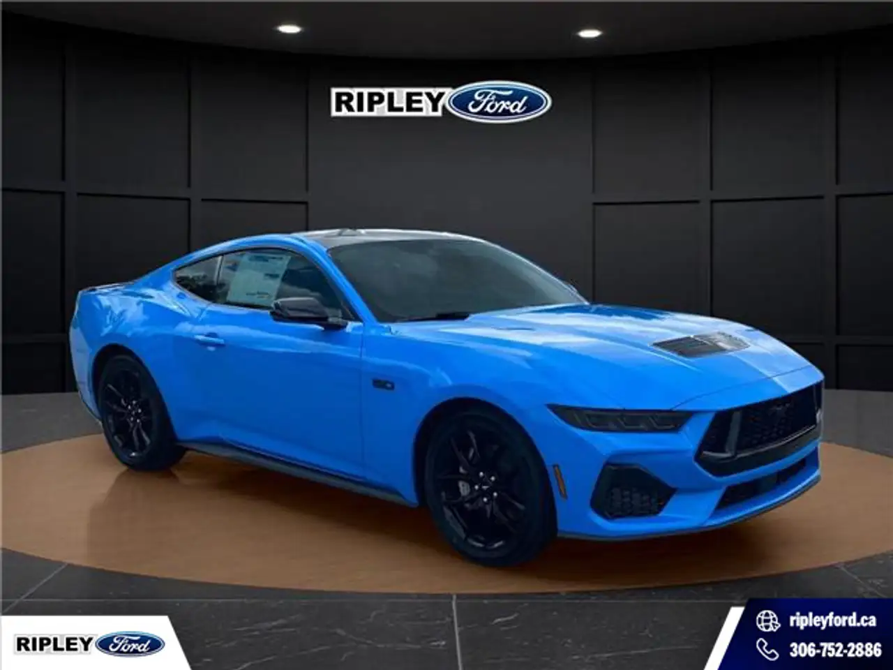 Ford Mustang photo Ford Mustang