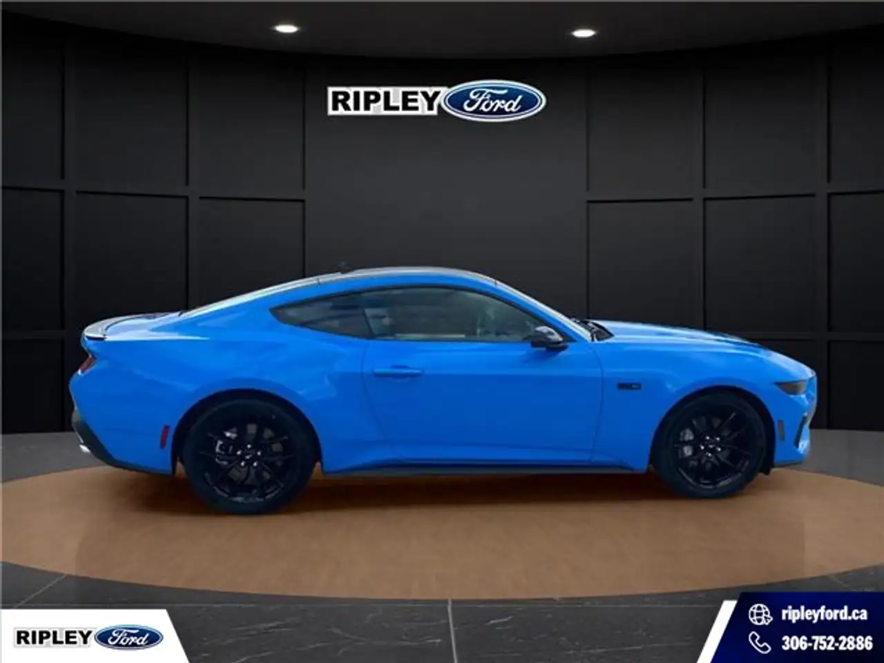 Ford Mustang photo Ford Mustang