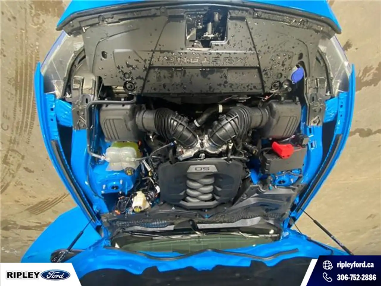 Ford Mustang photo Ford Mustang