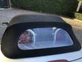 Ford Ka/Ka+ 1.6 First Edition NIEUWE APK NIEUWE KAP HARD TOP Gris - thumbnail 14