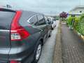Honda CR-V CR-V IV 2015 1.6 Elegance Navi 4wd auto Grigio - thumbnail 3