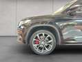 Skoda Kodiaq 2.0 Bi-TDI 4x4 DSG RS AHK 7 Sitze Zwart - thumbnail 19