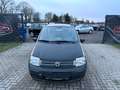 Fiat Panda 1.2 8V Dynamic TÜV NEU/SERVICE FRISCH Beige - thumbnail 2