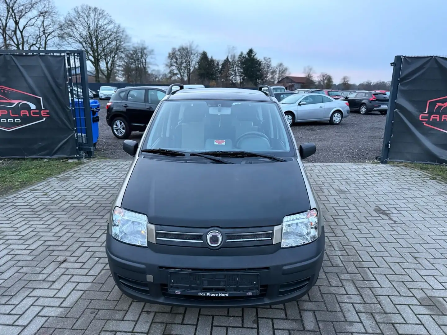 Fiat Panda 1.2 8V Dynamic TÜV NEU/SERVICE FRISCH Beige - 2