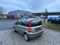 Fiat Panda 1.2 8V Dynamic TÜV NEU/SERVICE FRISCH Beige - thumbnail 4