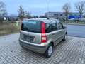 Fiat Panda 1.2 8V Dynamic TÜV NEU/SERVICE FRISCH Beige - thumbnail 6