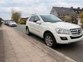 Mercedes-Benz ML 300 ML 300 CDI 4Matic 7G-TRONIC DPFBlueEFFICIENCY Weiß - thumbnail 2