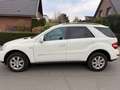 Mercedes-Benz ML 300 ML 300 CDI 4Matic 7G-TRONIC DPFBlueEFFICIENCY Weiß - thumbnail 3