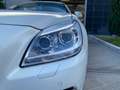 Mercedes-Benz SLK SLK 250 CDI BlueEFFICIENCY Sport Blanc - thumbnail 15