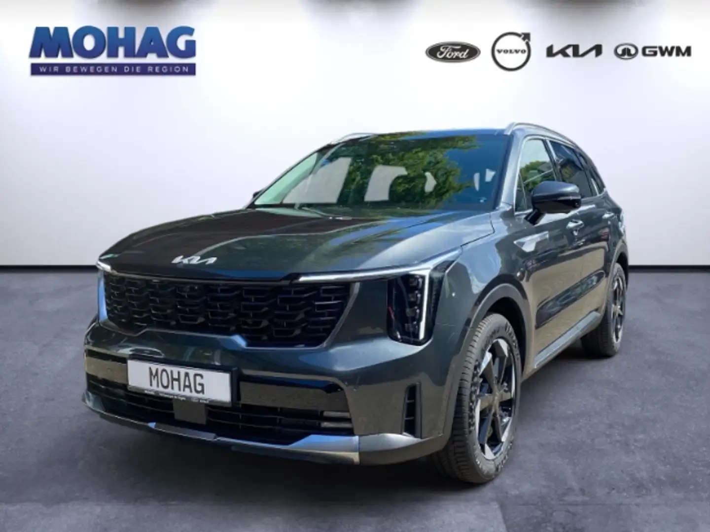 Kia Sorento Plug&Ride 4WD Plug-in Hybrid Grau - 1