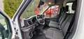 Ford Transit Ford Transit FT 35012 2.0Eco@lue TREND DK, 125 kW White - thumbnail 13