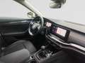 Skoda Octavia Octavia Clever+ 2,0 TDI 85 kW 6-speed mech. Blanc - thumbnail 11