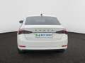 Skoda Octavia Octavia Clever+ 2,0 TDI 85 kW 6-speed mech. Blanc - thumbnail 4