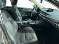Lexus CT 200h Compao BUSINESS 1.8L (Híbrido Gasolina) Transmis Grau - thumbnail 6