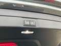 Audi A5 TDI S line quattro PANO B&O HUD TECH PL Grau - thumbnail 17