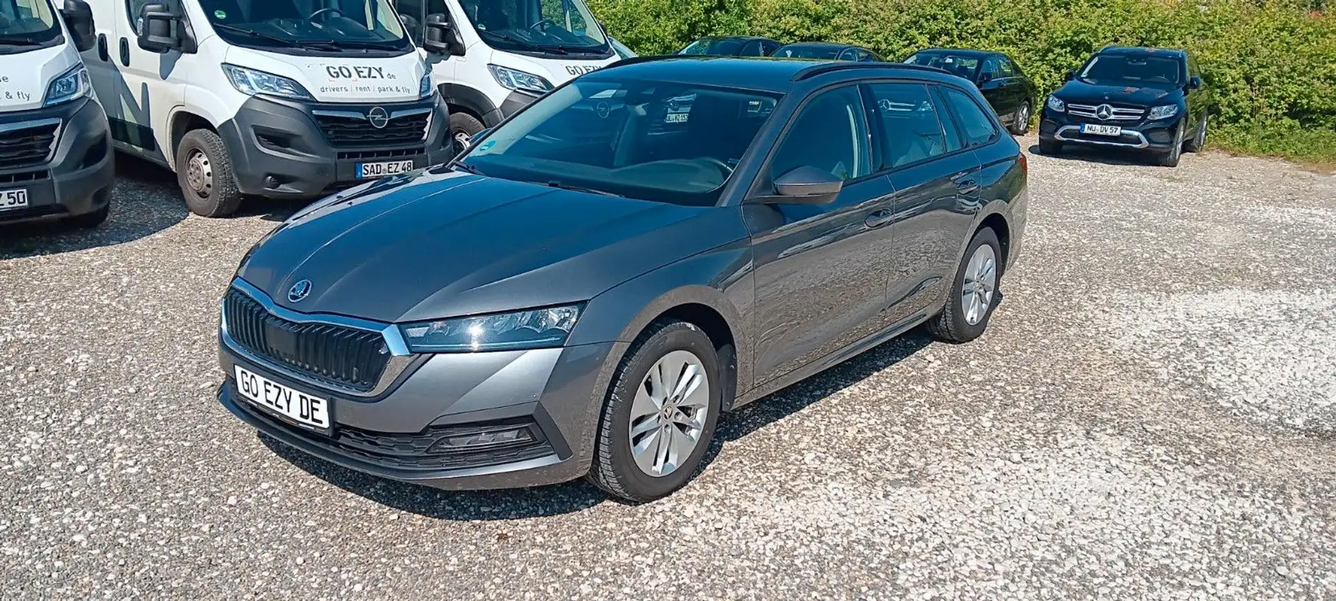 Skoda Octavia Combi Ambition Grau - 1
