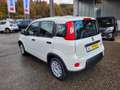 Fiat Panda Base Hybrid sehr 1,0 gepflegt 12 Monate Garantie Blanc - thumbnail 4