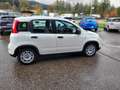 Fiat Panda Base Hybrid sehr 1,0 gepflegt 12 Monate Garantie Blanc - thumbnail 7