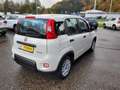 Fiat Panda Base Hybrid sehr 1,0 gepflegt 12 Monate Garantie Blanc - thumbnail 6